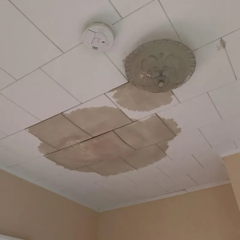 Ceiling Water Damage Repair in Plaquemines Parish, LA